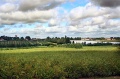Hernhill from Thread Lane